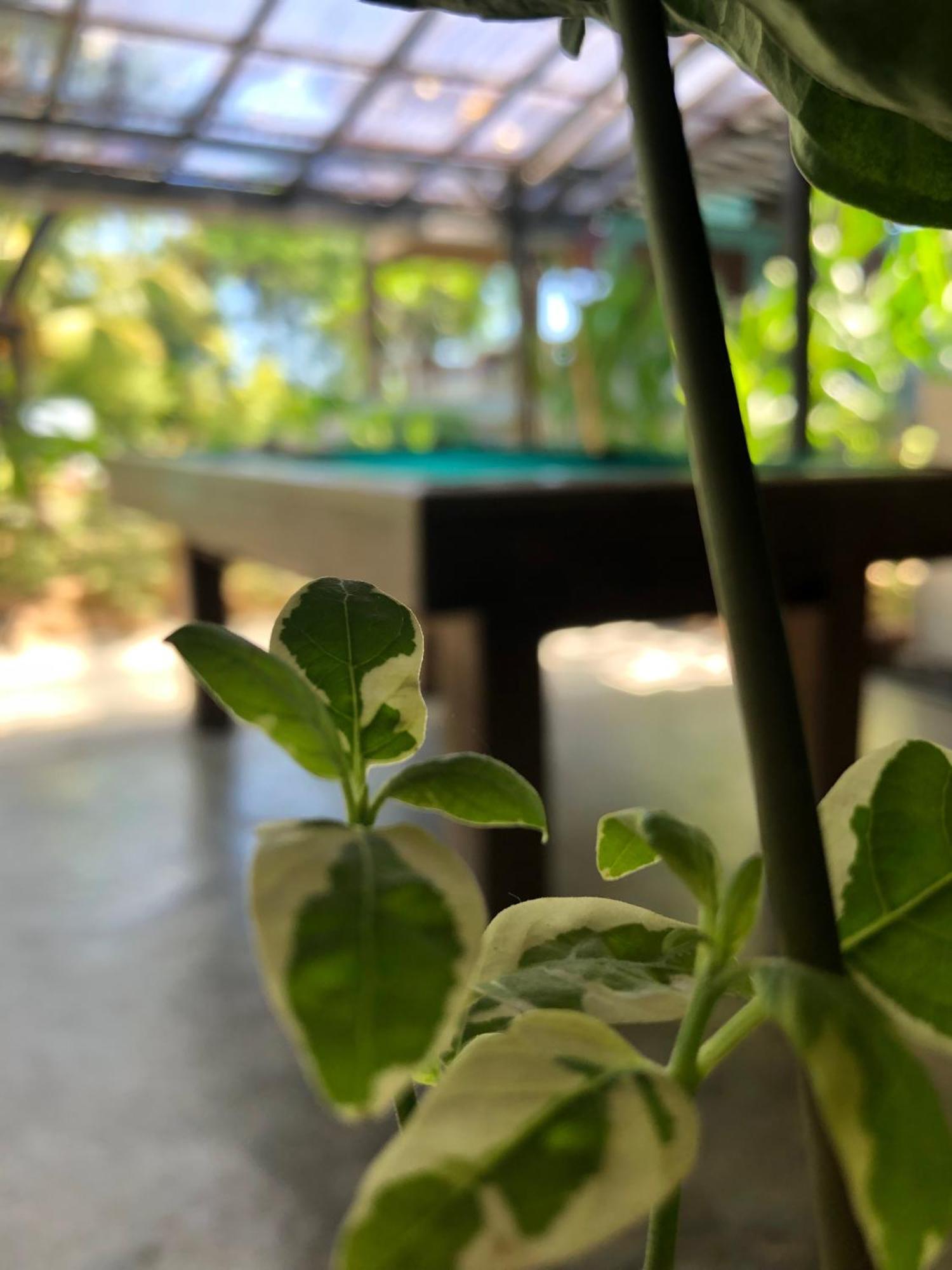 Wae Molas Hotel Лабуан Баджо Екстериор снимка